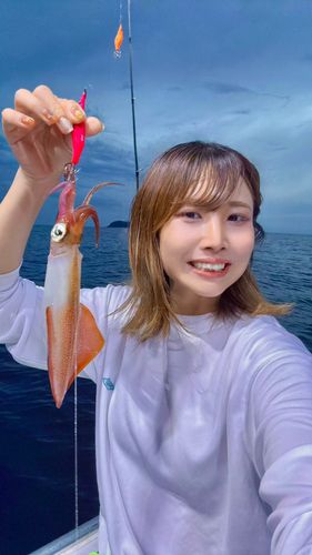 ケンサキイカの釣果