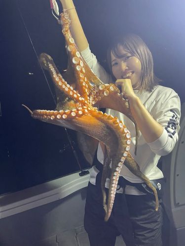 タコの釣果