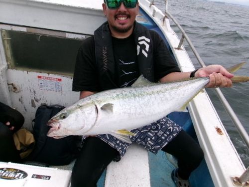 ワラサの釣果
