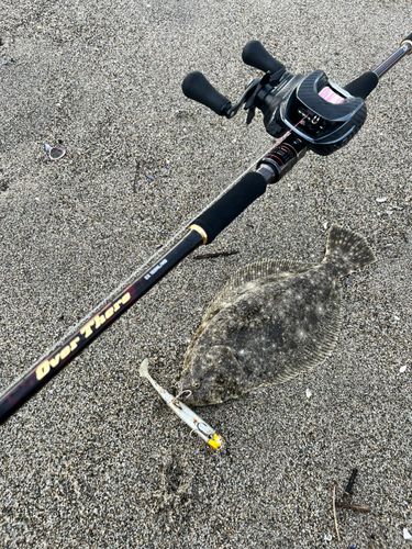 ヒラメの釣果