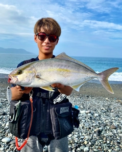 カンパチの釣果