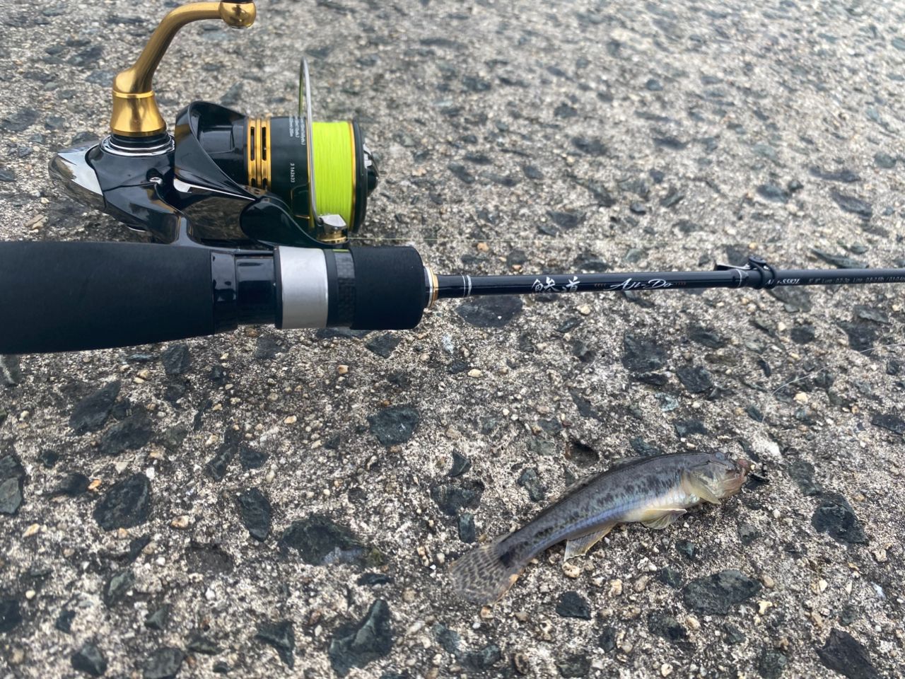 鯵道1G AD1-S582L Major Craft AD1-S582L アジングロッド 鯵道1G AJI-DO 1G-class