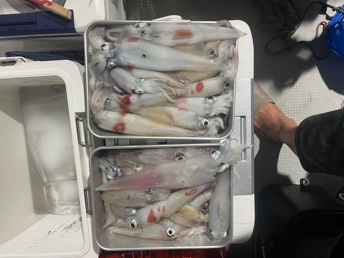 田畑良朗@なつき丸さんの釣果 2枚目の画像