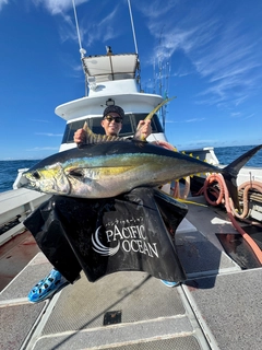 キハダマグロの釣果
