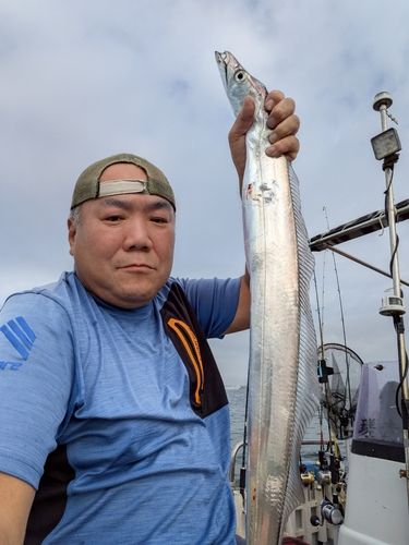 タチウオの釣果