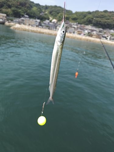 竹浦漁港