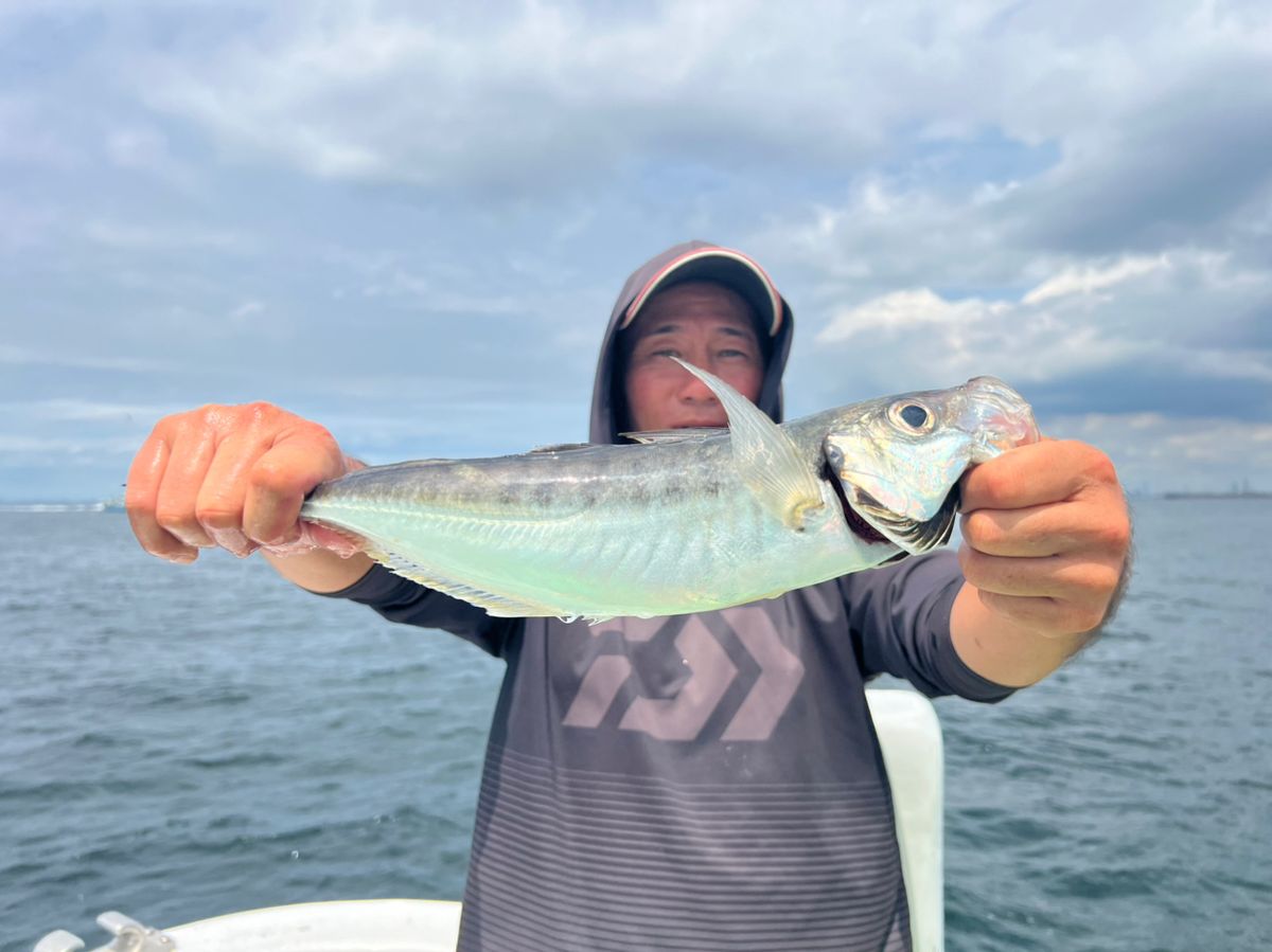 政信丸さんの釣果 3枚目の画像