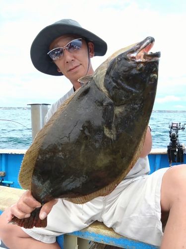 ヒラメの釣果