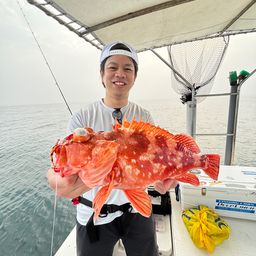 ウッカリカサゴ