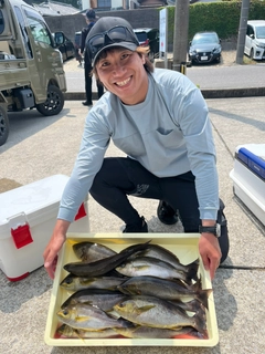 イサキの釣果