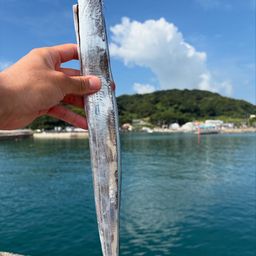 アジ