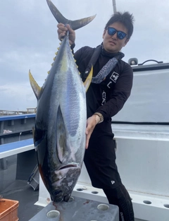 キハダマグロの釣果