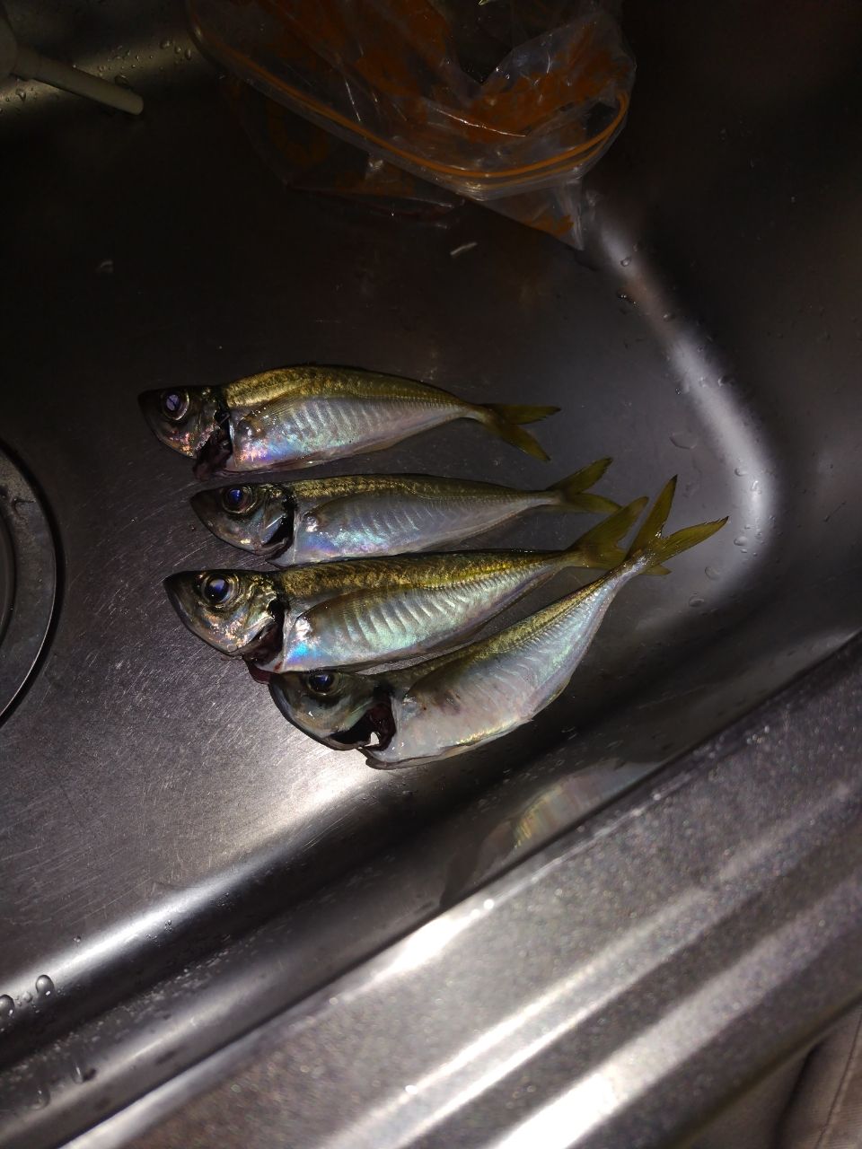 アジ