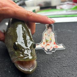 ブラックバス