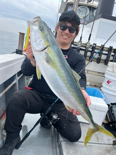 ブリの釣果