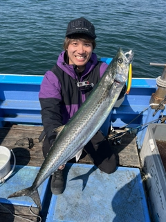 サワラの釣果