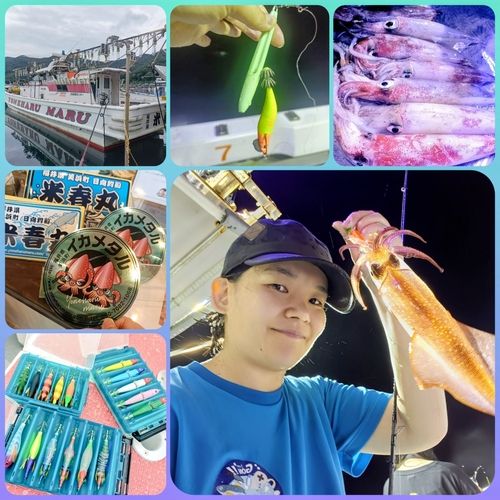 ケンサキイカの釣果