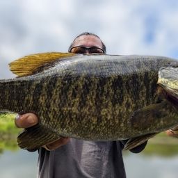 スモールマウスバス