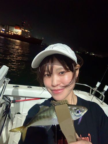 マアジの釣果