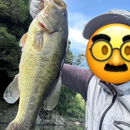 ブラックバス