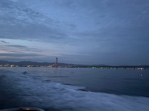 タチウオの釣果