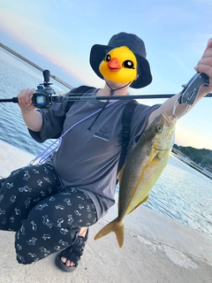 ネリゴの釣果