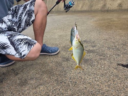 釣果