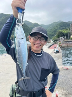 ソウダガツオの釣果