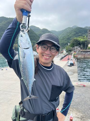 ソウダガツオの釣果
