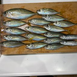 アジ