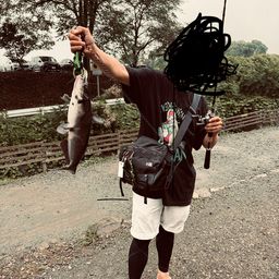 アメリカンキャットフィッシュ