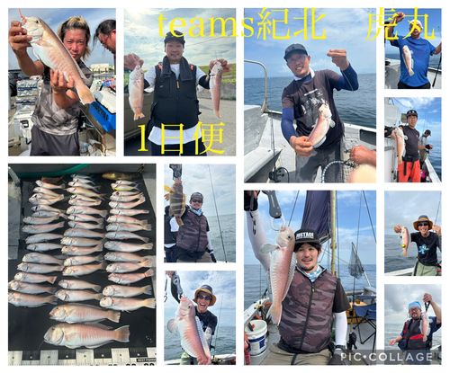 シロアマダイの釣果