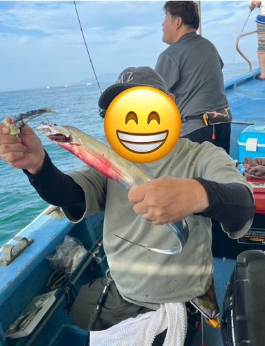 タチウオの釣果
