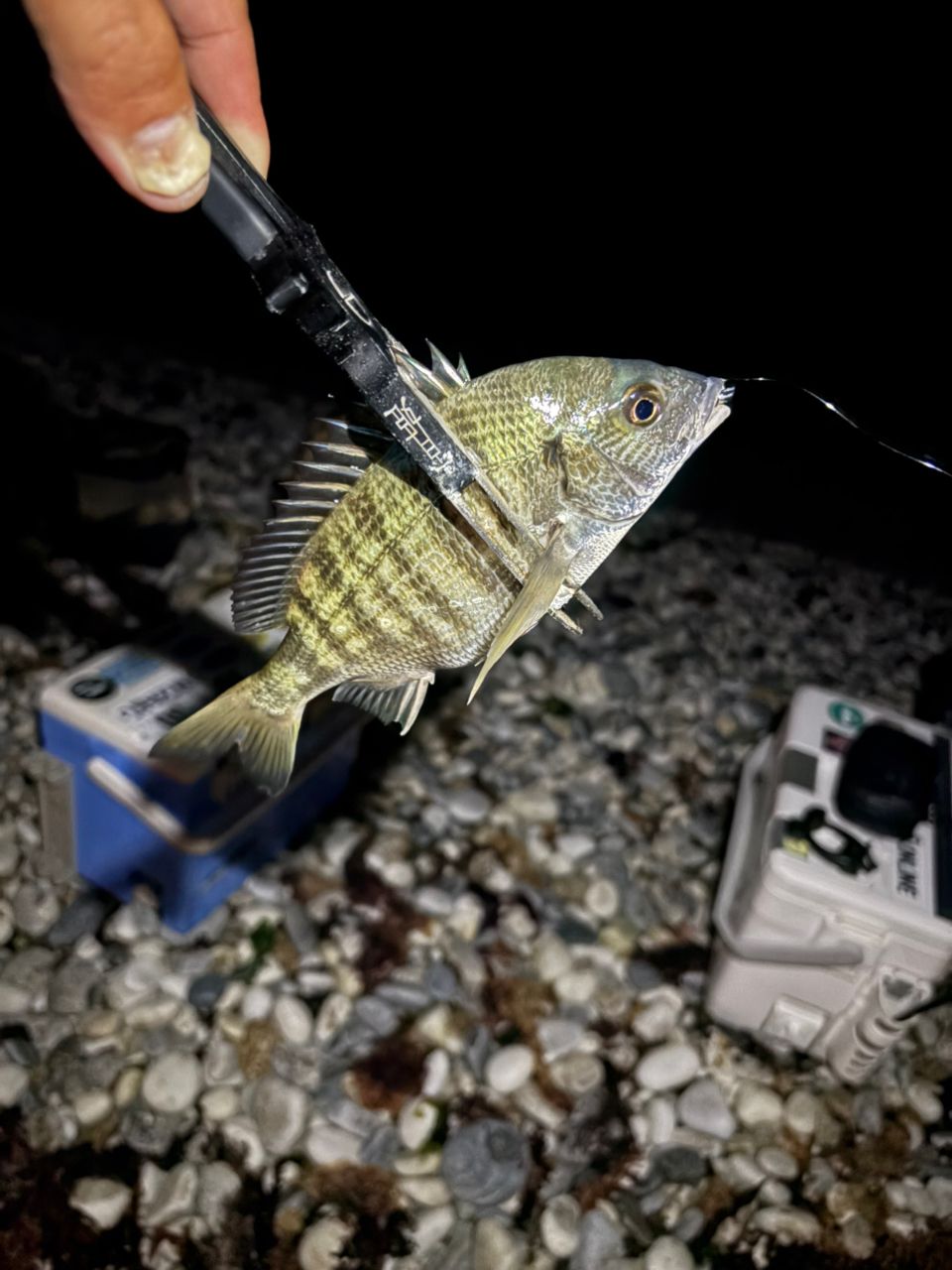 DAIWA 21エメラルダス ストイスト RT 76MMHの最安値・インプレ