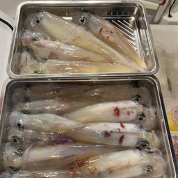 シロイカ