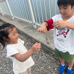 マハゼ