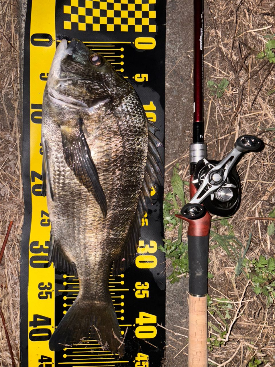 SHIMANO - シマノ ベイトリール メタニウム XG LEFT 左巻 2020年モデル シマノ メタニウム シャローエディション XG 左 (リール) 価格