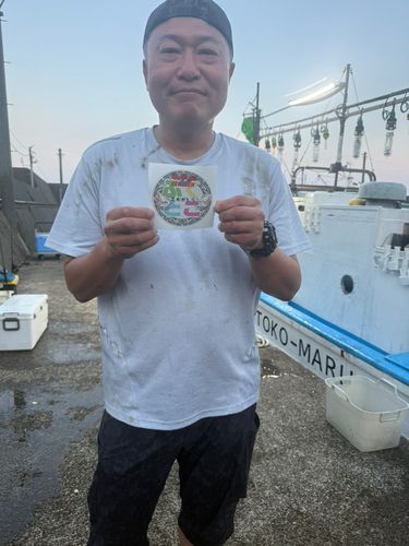 ケンサキイカの釣果