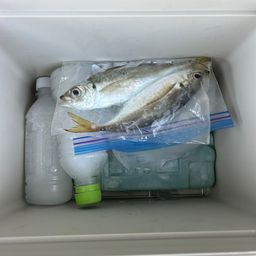 アジ
