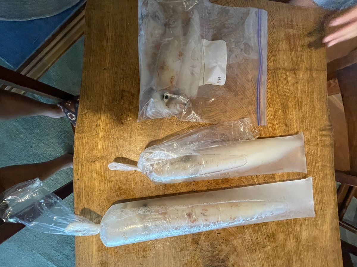 K太郎999さんの釣果 2枚目の画像