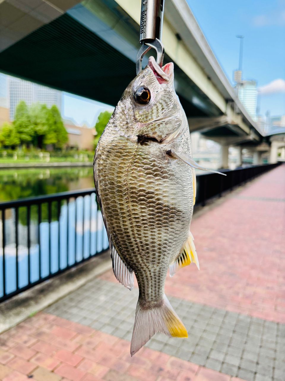 DAIWA 21ブレイゾン C610M-2の最安値・インプレ・釣果 | 本音の