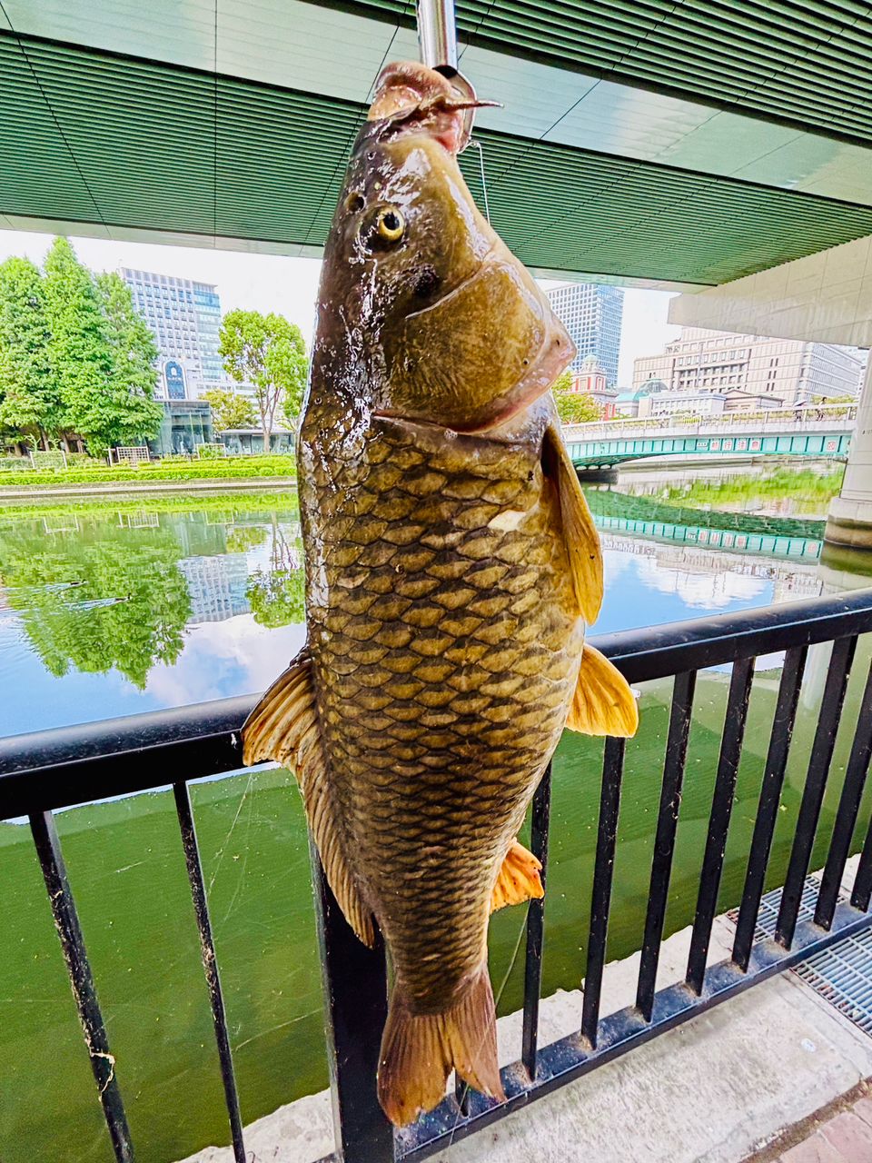DAIWA 21ブレイゾン C610M-2の最安値・インプレ・釣果 | 本音の