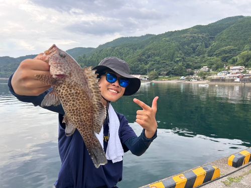 オオモンハタの釣果