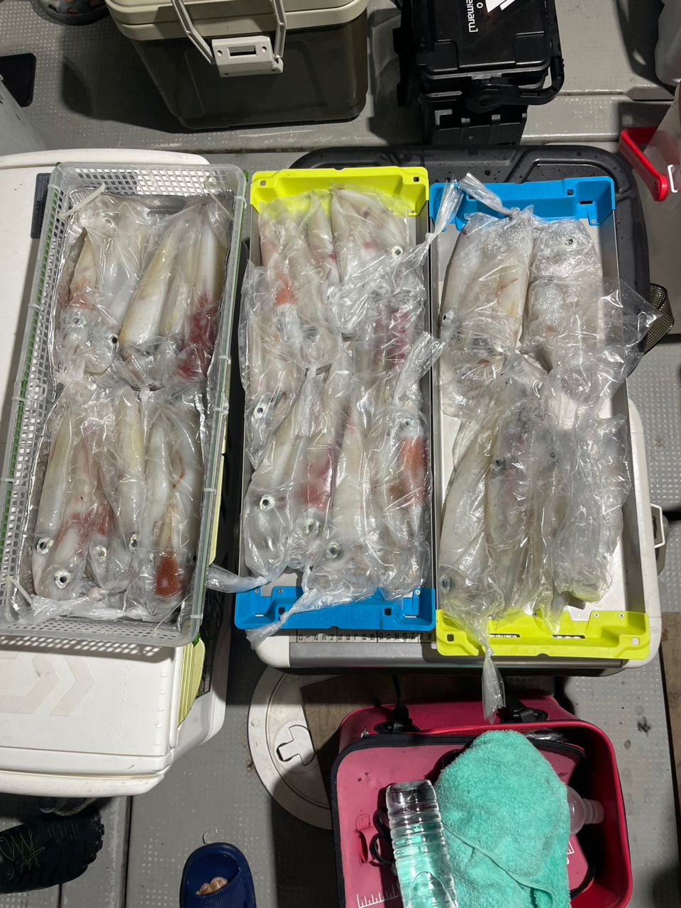 田畑良朗@なつき丸さんの釣果 2枚目の画像