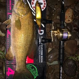 スモールマウスバス