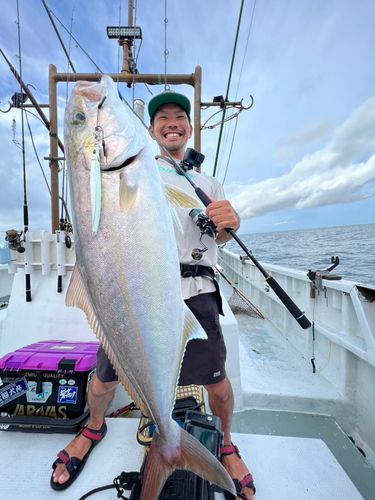 カンパチの釣果