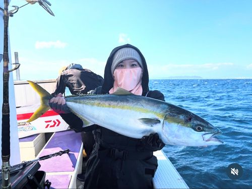 ブリの釣果
