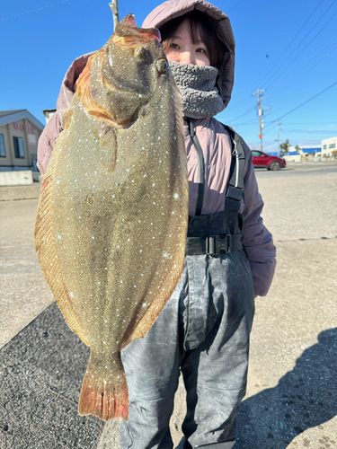 ヒラメの釣果