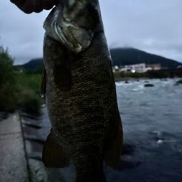 スモールマウスバス