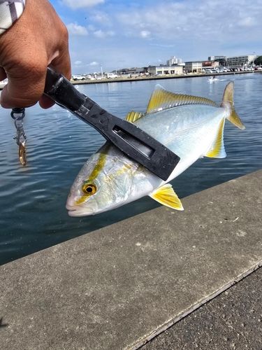 丸アンドン　メッキ　魚河岸 No.1812 魚河岸丸天を食べ尽くす | なぐわしのグルメ